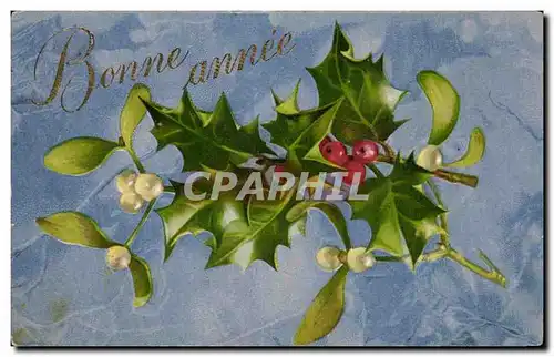 Fetes - Voeux - Bonne Annee - houx - holly - Cartes postales