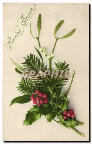 Fetes - Voeux - Bonne Annee - houx - holly - Cartes postales