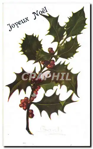 Fetes - Voeux - Joyeux Noel - houx - holly - Cartes postales