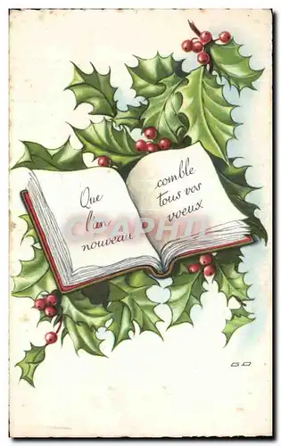 Fetes - Voeux - houx - holly - livre - book - Ansichtskarte AK