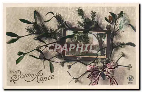 Fetes - Voeux - Bonne Annee - houx - holly - Cartes postales