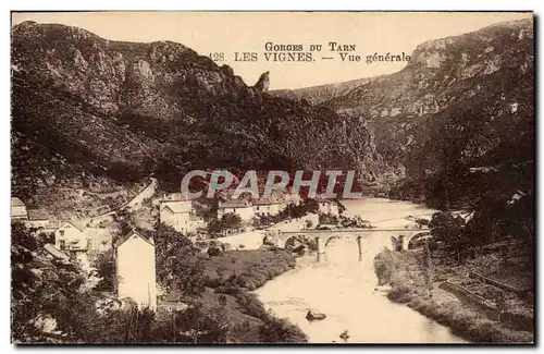 Les Vignes - Vue Generale - Gorges du Tarn - Ansichtskarte AK