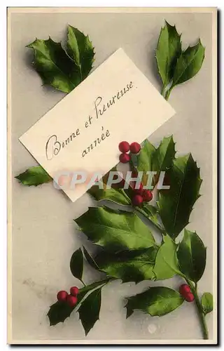 Fetes - Voeux - Bonne Annee - houx - holly - Cartes postales