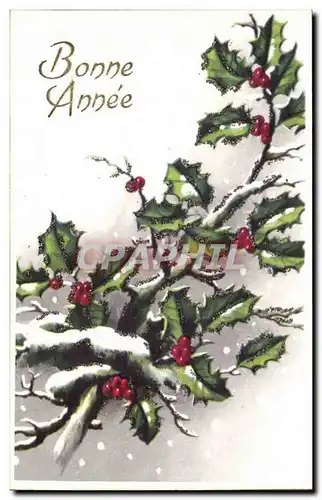 Fetes - Voeux - Bonne Annee - houx - holly - Cartes postales