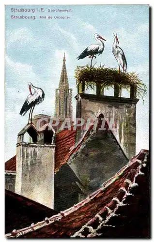 Strasbourg - Nid de Cigogne - Storchennest - oiseau - bird - Ansichtskarte AK