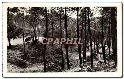 Saint Jean de Monts - Un Joli Coin de Foret - Cartes postales