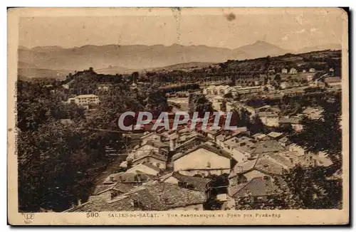 Cartes postales Salies du Salat Vue panoramique et fond des Pyrenees