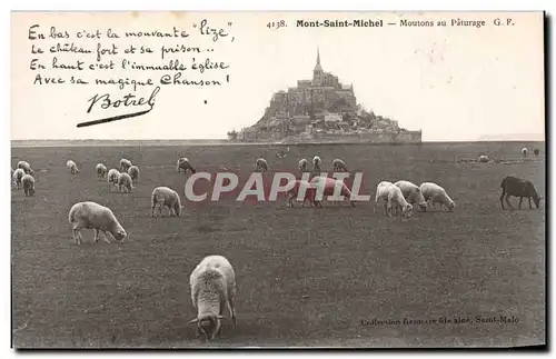 Le Mont Saint Michel - Moutons au Paturage Botrel moutons - Ansichtskarte AK