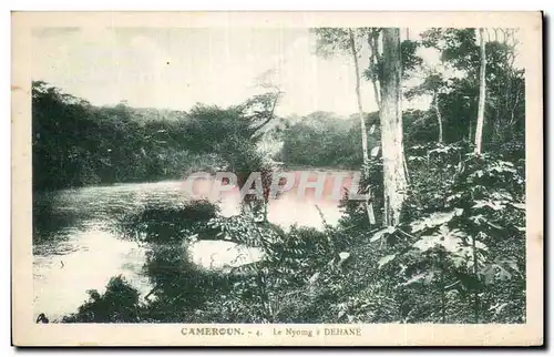 Afrique - Africa - Cameroun - Le Nyomg a Dehane - Cartes postales