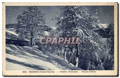 Ansichtskarte AK Megeve Station hivernale Fleurs d hiver