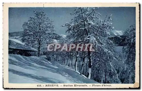 Ansichtskarte AK Megeve Station hivernale Fleurs d hiver