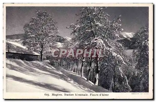 Ansichtskarte AK Megeve Station hivernale Fleurs d hiver