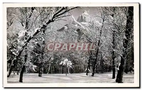 Cartes postales moderne Megeve l aiguille de Varens et un sous bois d hiver