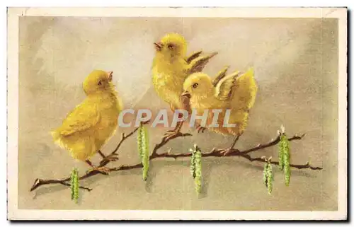 Cartes postales Fantaisie Poussins