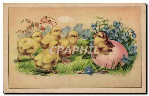 Cartes postales Fantaisie Poussins Paques Easter