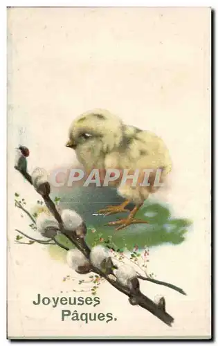 Cartes postales Fantaisie Poussin Joyeuse Paques Easter
