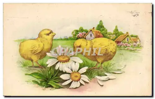 Cartes postales Fantaisie Poussins Paques Easter