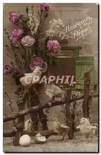 Cartes postales Fantaisie Poussins Paques Easter
