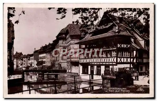 Cartes postales Strasbourg Le bain aux plantes