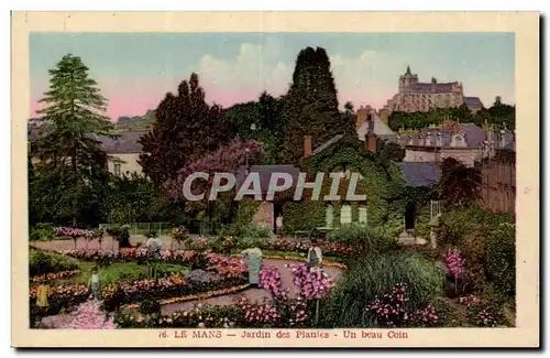 Le Mans - Jardin des Plantes - Cartes postales