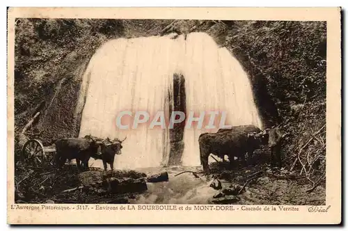 Le Mont Dore - La Bourboule - Cascade de la Verriere - Vache - Cow - Ansichtskarte AK