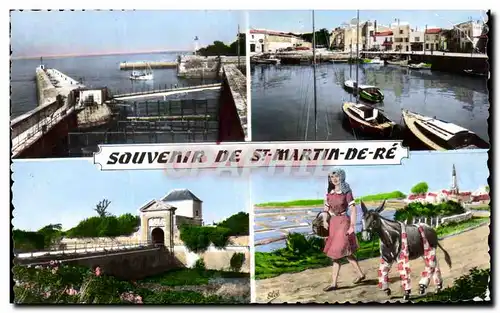 Saint Martin de Re - Souvenir Ane Donkey - Cartes postales