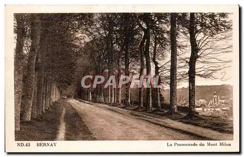 Cartes postales Bernay La promenade du Mont Milon