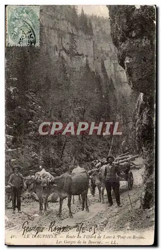 Le Dauphine - Route du Villard de Lans a Pont en Royans Attelage Boeufs - Ansichtskarte AK