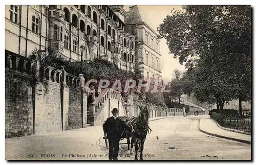 Blois - Le Chateau Attelage Cheval horse - Ansichtskarte AK