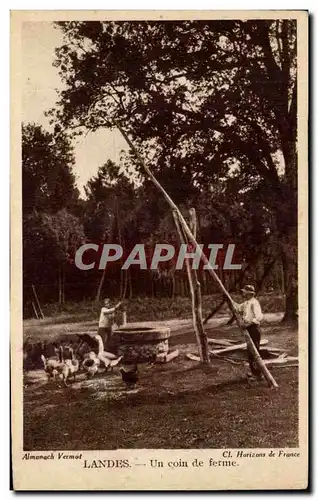 Landes Un Coin de Foret - Cartes postales