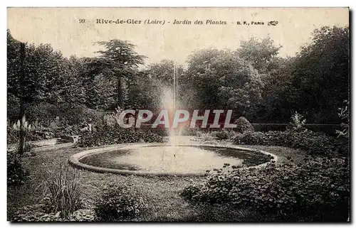 Rive de Gier - Jardin des Plantes - Cartes postales