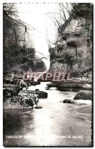 Cartes postales moderne Saint Germain de Joux Gorges du Peylan