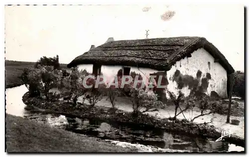 Cartes postales moderne Au pays de Monts Vieille bourine du marais