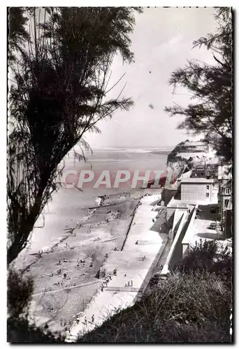 Cartes postales moderne Ault onival La plage a travers les tamaris