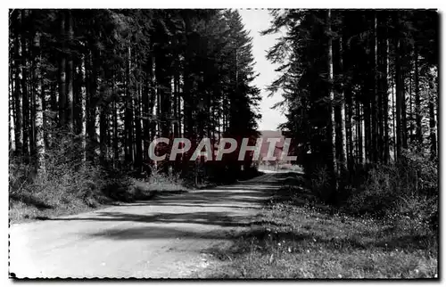 Cartes postales moderne Levier Et ses forets