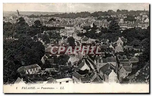 Cartes postales Falaise Panorama