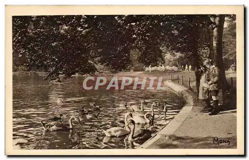 Cartes postales Paris Bois de Boulogne Cygnes sur le lac inferieur