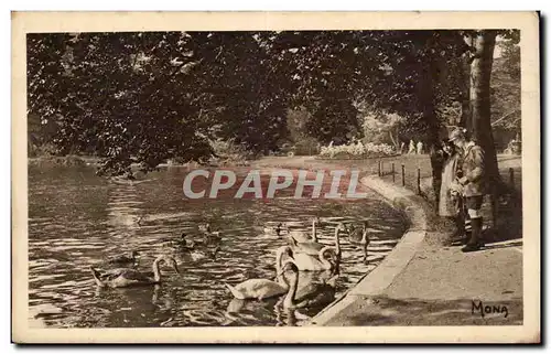 Cartes postales Paris Au bois de Boulogne Cygnes sur le lac inferieur