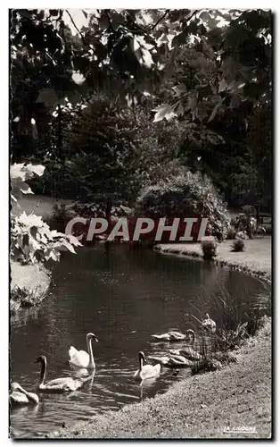 Cartes postales moderne Roubaix Parc Barbieux