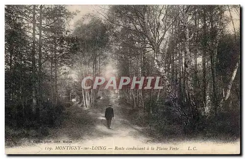 Montigny - Route conduisant a la plaine verte - Cartes postales