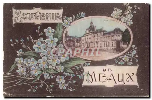 Meaux - Souvenir fleurs- Cartes postales