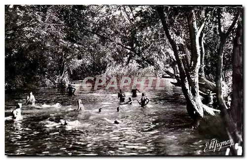 Cartes postales moderne Souppes sur Loing La baignade