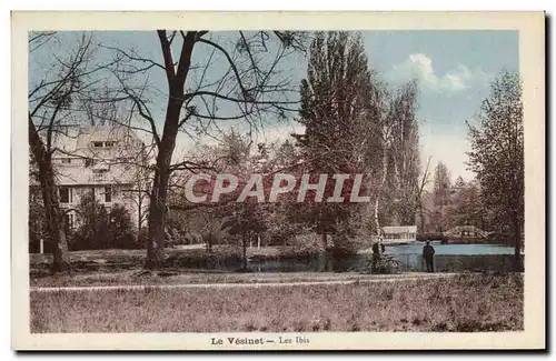 Cartes postales Le Vesinet Les Ibis