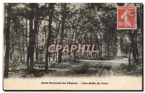 Ansichtskarte AK Le Vesinet ASile national Une allee du parc