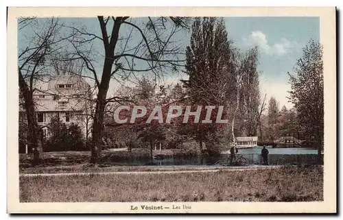 Cartes postales Le Vesinet Les Ibis