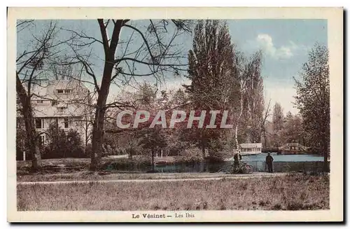 Cartes postales Le Vesinet Les Ibis