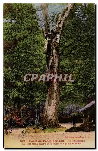 Cartes postales Foret de Fontainebleau Le Pharamond Le plus vieux chene de la foret Age de 1400 ans