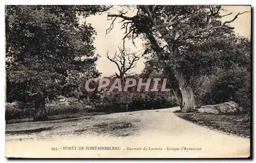 Cartes postales Fontainebleau Dormoir de Lantara Gorges d Apremont