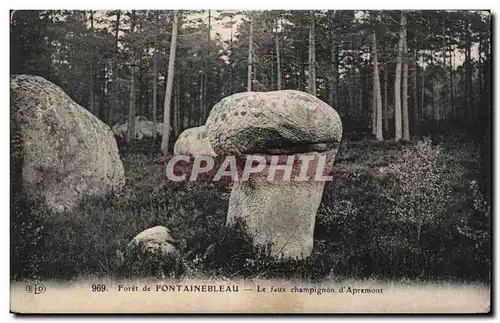 Ansichtskarte AK Foret de Fontainebleau le faux champignon d Apremont