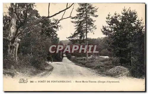 Ansichtskarte AK Foret de Fontainebleau Route Marie Therese (gorges d Apremont)